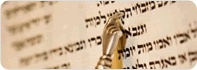 Mikvah